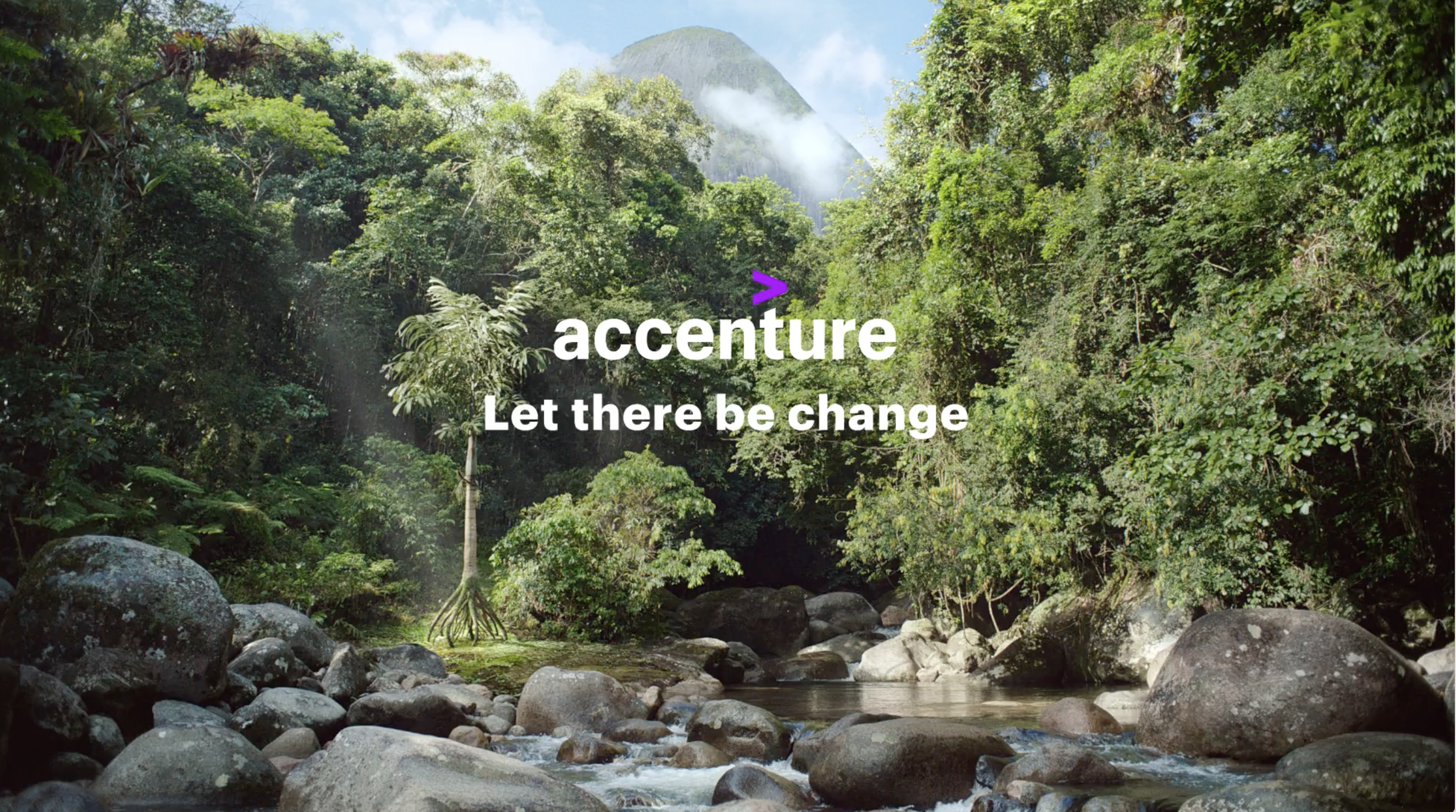 Accenture – The Changing Tree